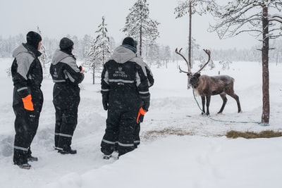 黑夹克男子站在布朗鹿在冰雪覆盖的地面白天
